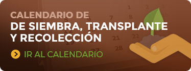 Calendario de siembra, transplante y recoleccion