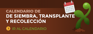 Calendario de siembra, recoleccin y transplante