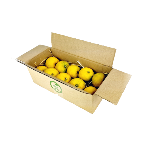 Yuzu fresco (Citrus Junus)- caja 1kg