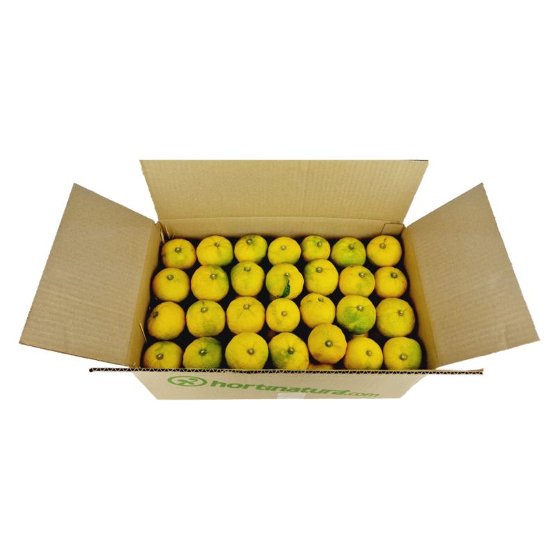 Yuzu fresco (Citrus Junus)- caja 6kg