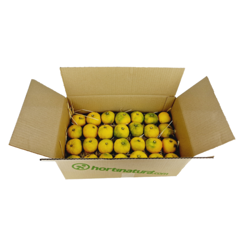 Yuzu fresco (Citrus Junus)- caja 3kg