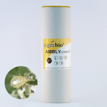 Ambly control 250.000 caros - contra trips y araa roja