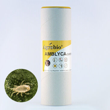 Amblyca control 25.000 ácaros (sobres) - contra araña roja
