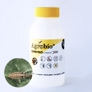 Chryso control 500 larvas - contra pulgón, trips, mosca blanca, araña roja y orugas