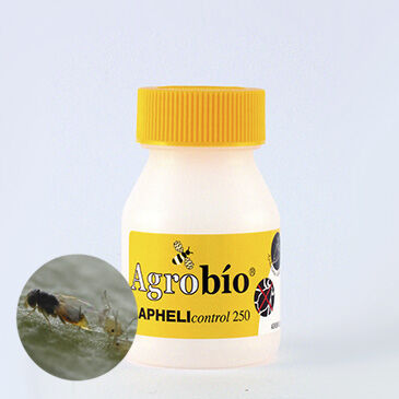 Apheli control 250 adultos - contra pulgón