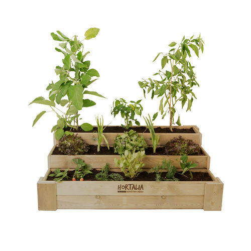 Mesa de cultivo BOX Stairs 120 - Hortalia