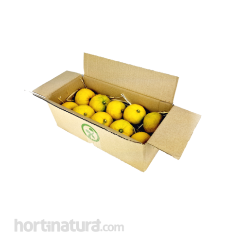 Yuzu fresco (Citrus Junus)- caja 1kg