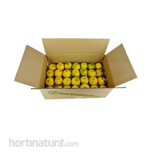 Yuzu fresco (Citrus Junus)- caja 3kg