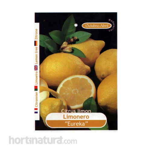 Limonero Eureka Frutales