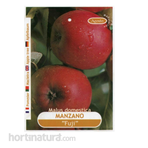 Manzano Fuji Frutales