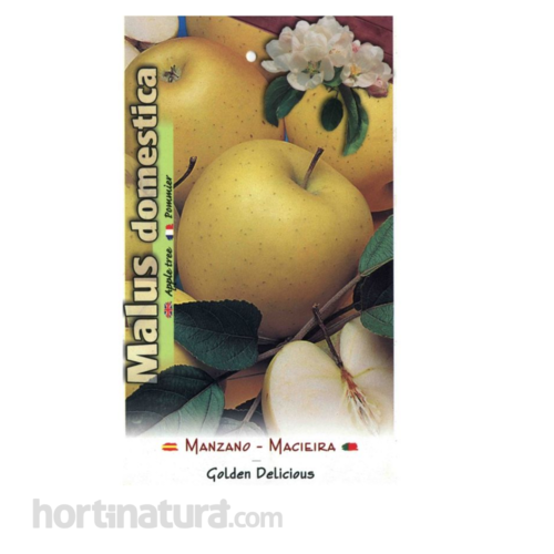Manzano Golden Delicious Frutales