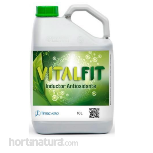 Vitalfit 10L Inductor antioxidante