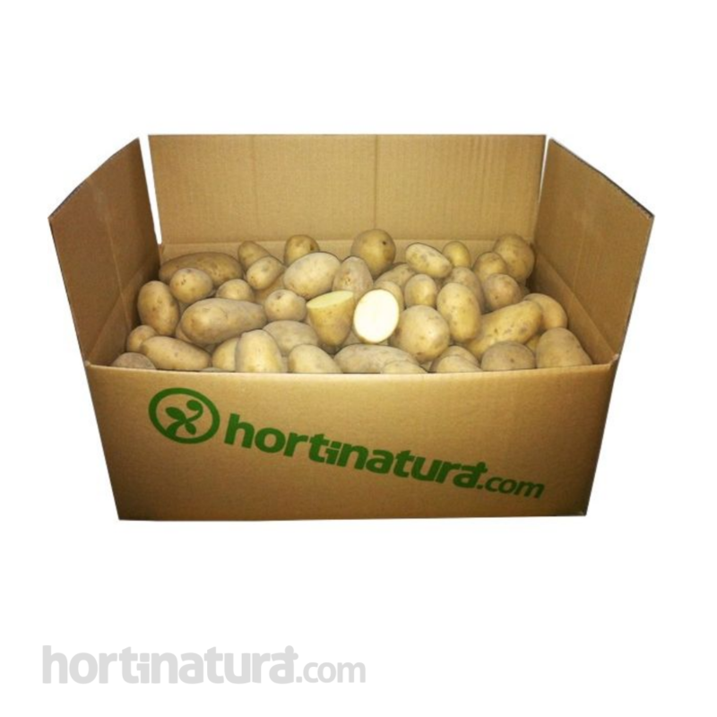 Patata Agria caja 9 Kg. Patatas de siembra