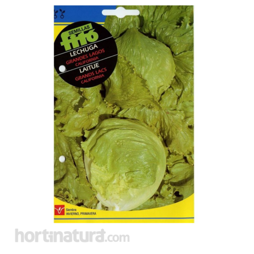 Lechuga Grandes Lagos Semillas