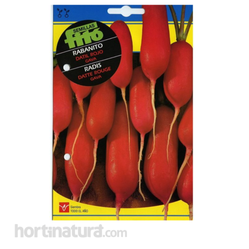 Rabanito Dátil Rojo Gava Semillas