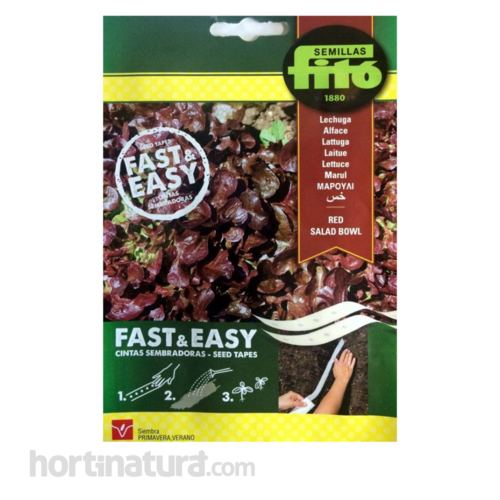 Red Salad Bowl Cinta Sembradora Fast & Easy