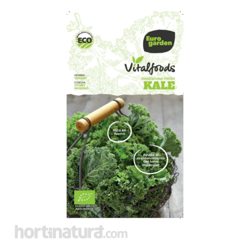 Vitalfoods - Kale Westlandse Herfst (3g) Sem. ecolgicas