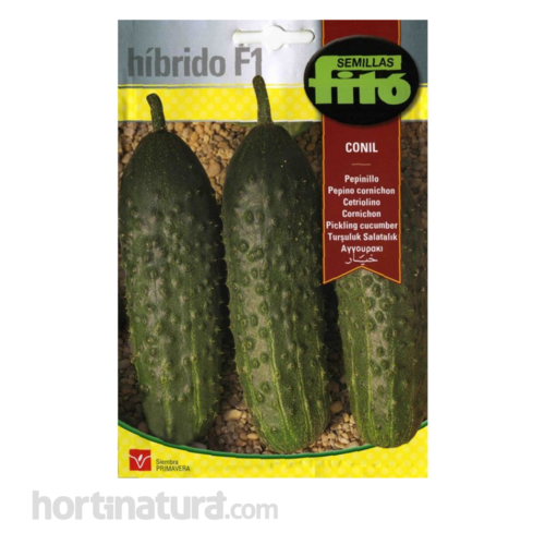 Pepino Conil Hbridos