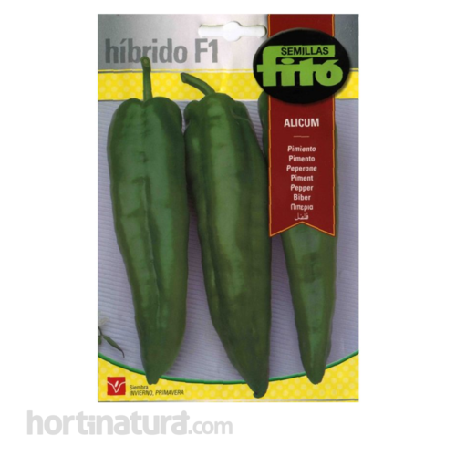 Pimiento Alicum Hbridos