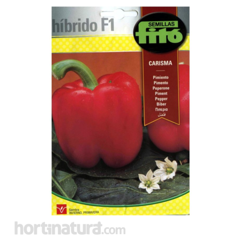 Pimiento Carisma Hbridos