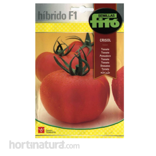 Tomate Crisol Hbridos