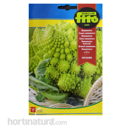 Romanesco Natalino Semillas