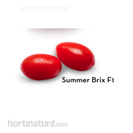 Tomate Summer Brix F1 1000 Semillas
