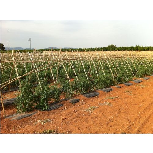 Plástico negro para siembra - Plásticos y PVC de Agricultura