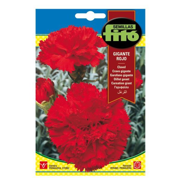 Clavel Gigante Rojo Semillas de Flores - Hortinatura.com - Tu huerto en casa