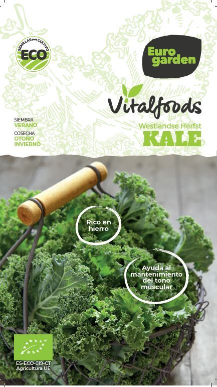 Vitalfoods - Kale Westlandse Herfst (3g) Sem. ecolgicas