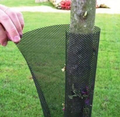 Protector Treex 11 x 55cm Negro 3x3mm