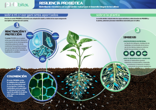 PROBITAL II - BIOTRASLOCADOR 0,5 Kg Biofertilizante microbiolgico Ecolgico